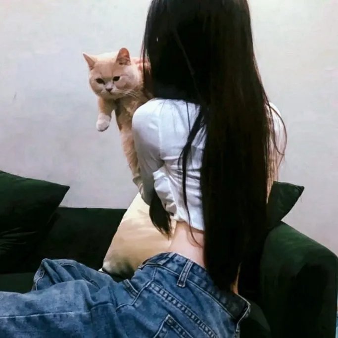 权力之子